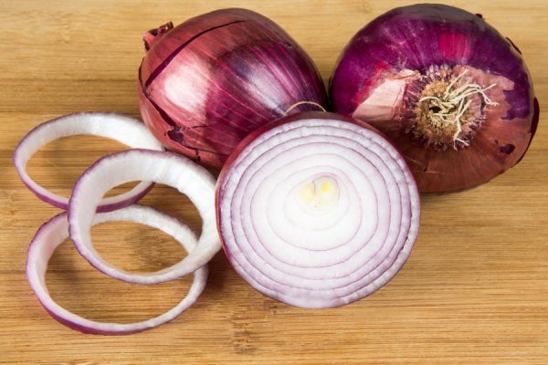 Kraken istand onion