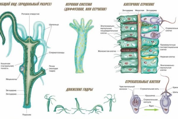 Kraken актуальный сайт